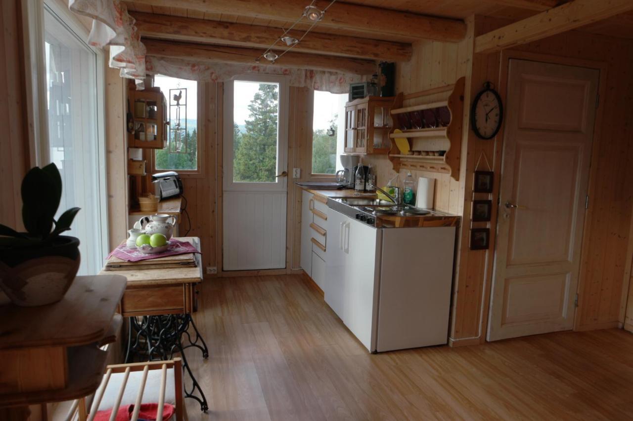 Vognbu Gran Nordre Apartment Snasa Bagian luar foto